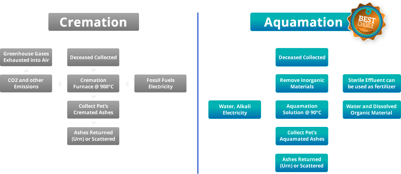 aquamation-graphic-1